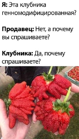 Я: Эта клубника генномодифицированная? Продавец: Нет, а почему вы спрашиваете? Клубника: Да, почему спрашиваете? 4 leg