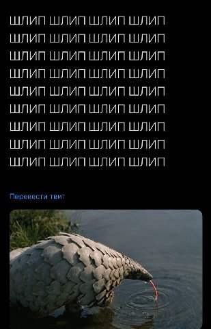 ШЛИП ШЛИП ШЛИП ШЛИП ШЛИП LUM) ШЛИП ШЛИП ШЛИП Перевести TBUT