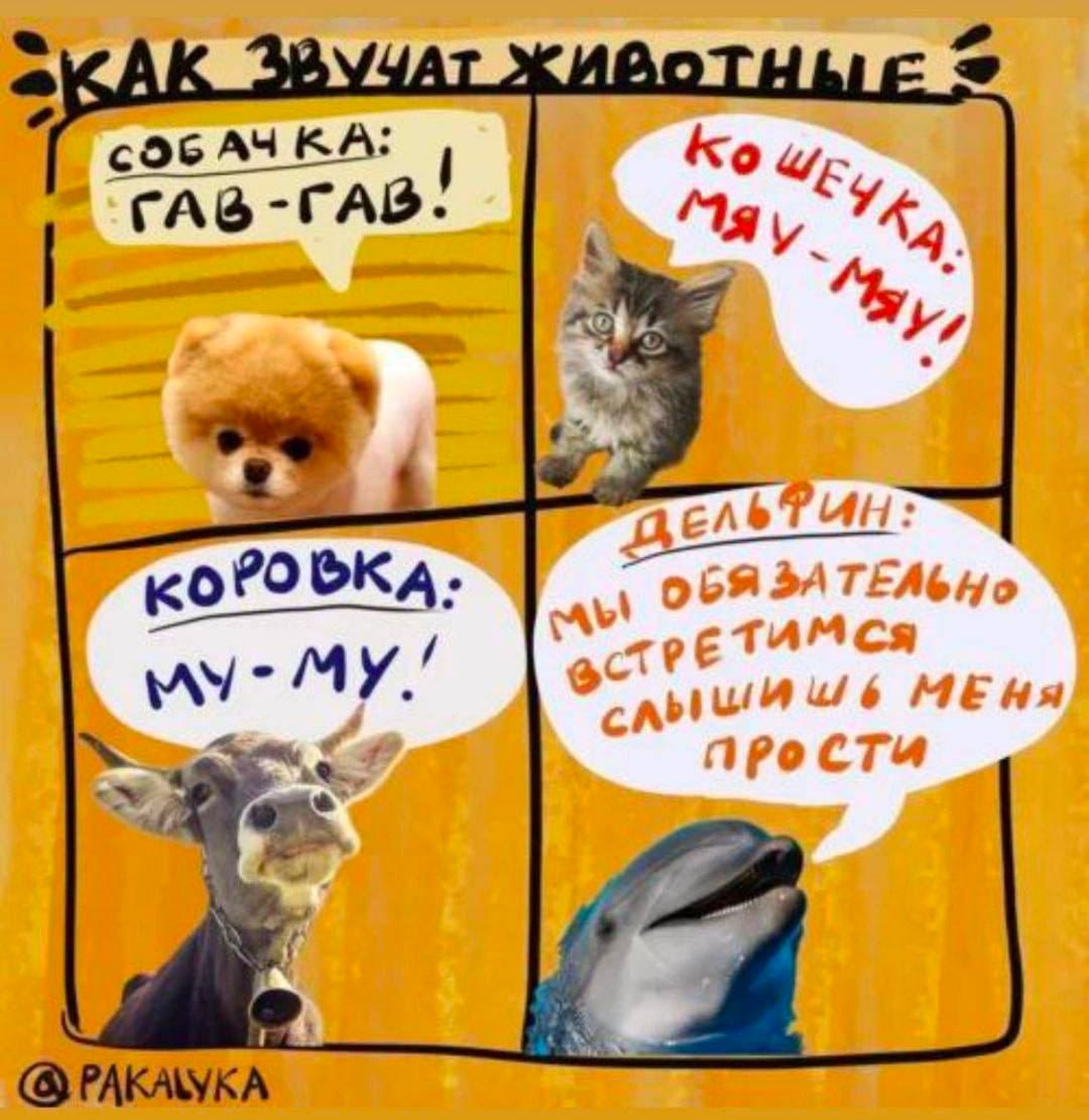 GAbT MY. 6 МЕНЯ про сти 1 A