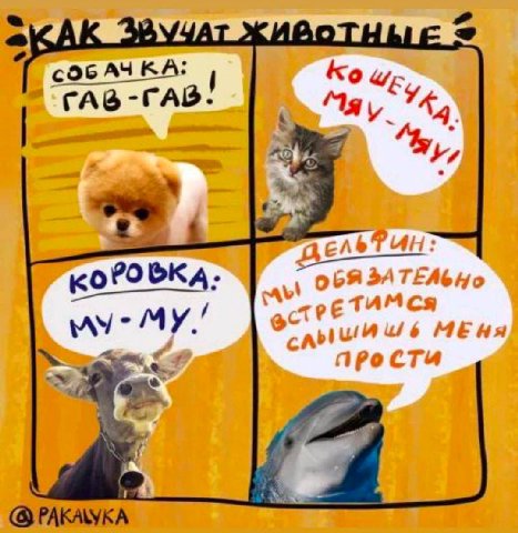 GAbT MY. 6 МЕНЯ про сти 1 A