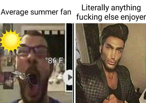 Average summer fan Literally anything fucking else enjoye