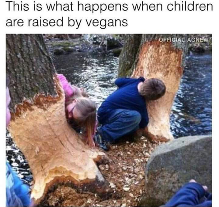 This is what happens when children are raised vegans у 2 У