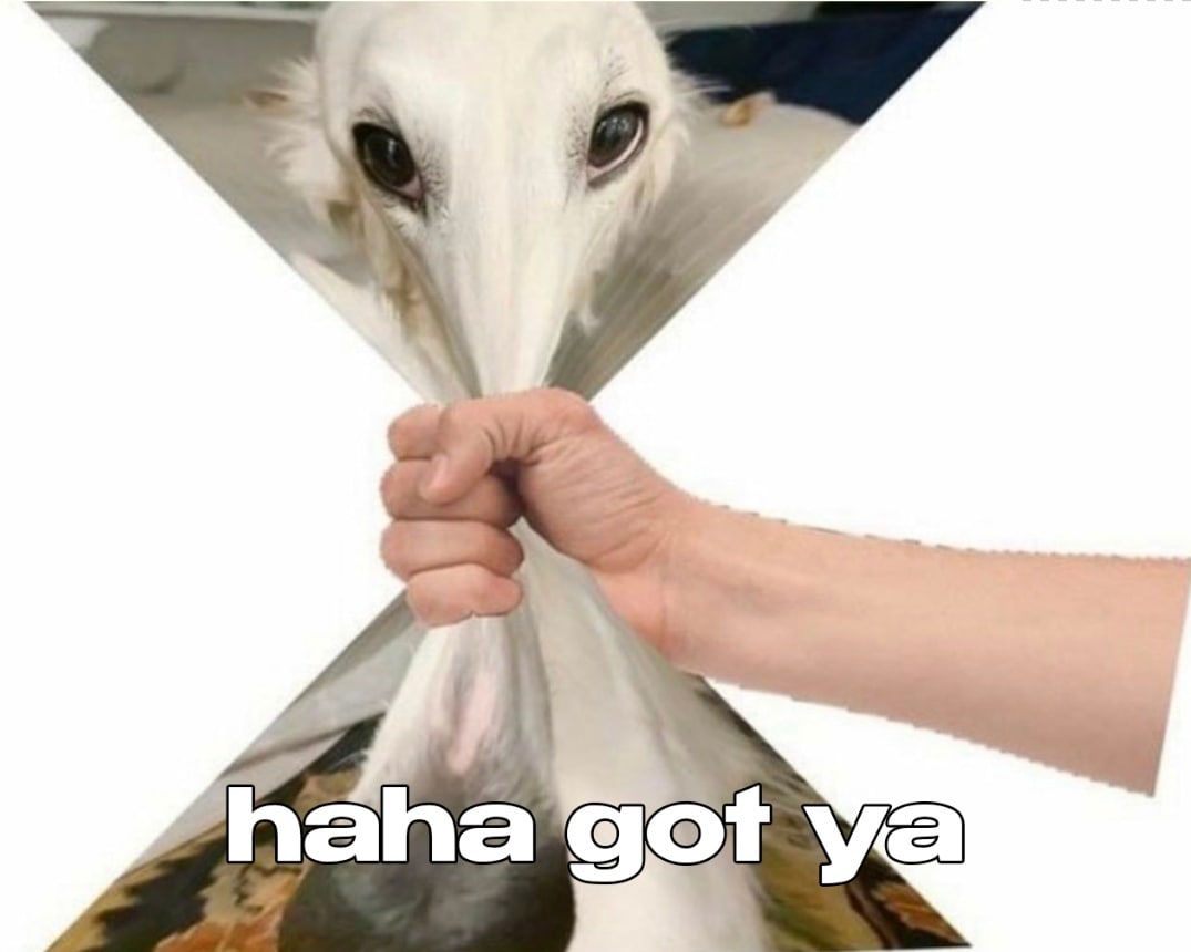 a Phaha got