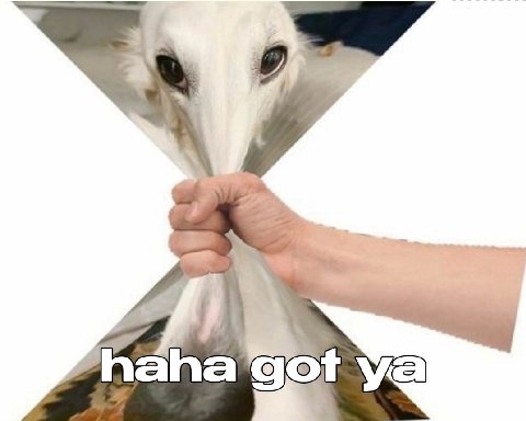 a Phaha got