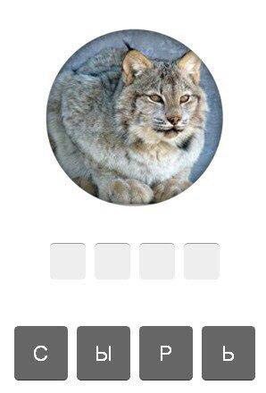 Pye 2. a