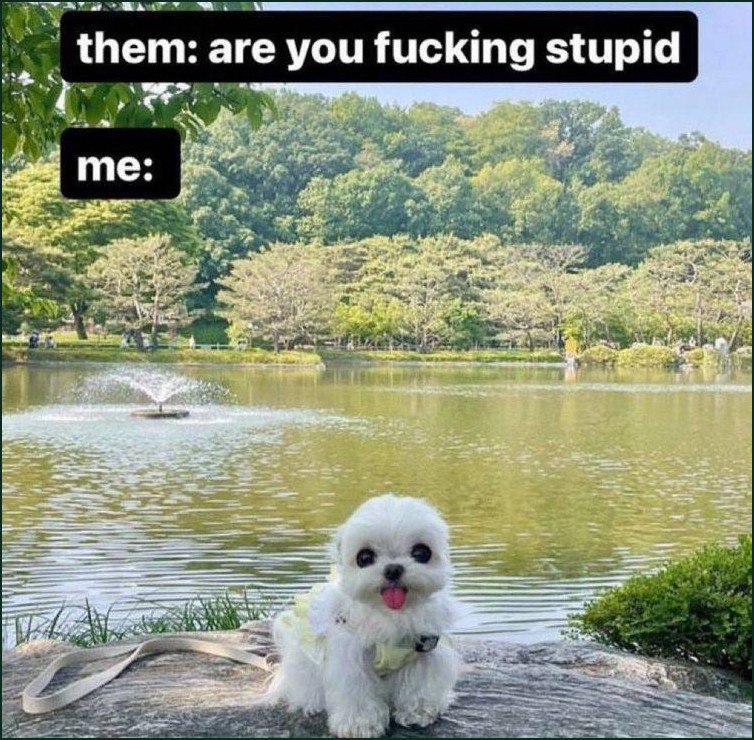 them: are you fucki fuck Ing stupid 4 MEL 4 у 8 7 у
