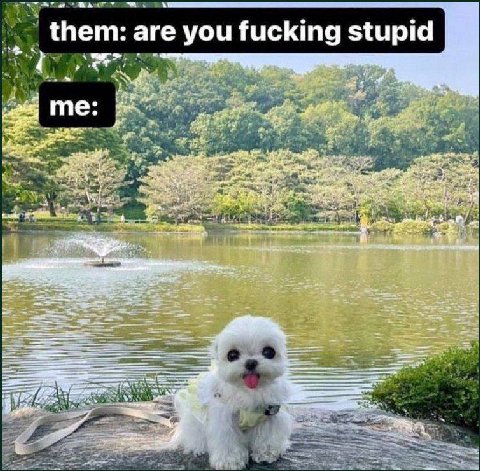 them: are you fucki fuck Ing stupid 4 MEL 4 у 8 7 у