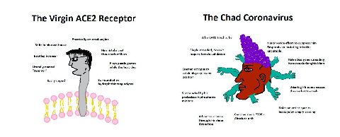 The Chad Coronavirus The Virgin ACE2 Receptor Practically an erect vagina Who SARS tried to be Shits in his own house Nation-wide effort to suppress him Responds mutating into the His mistake cost Sin