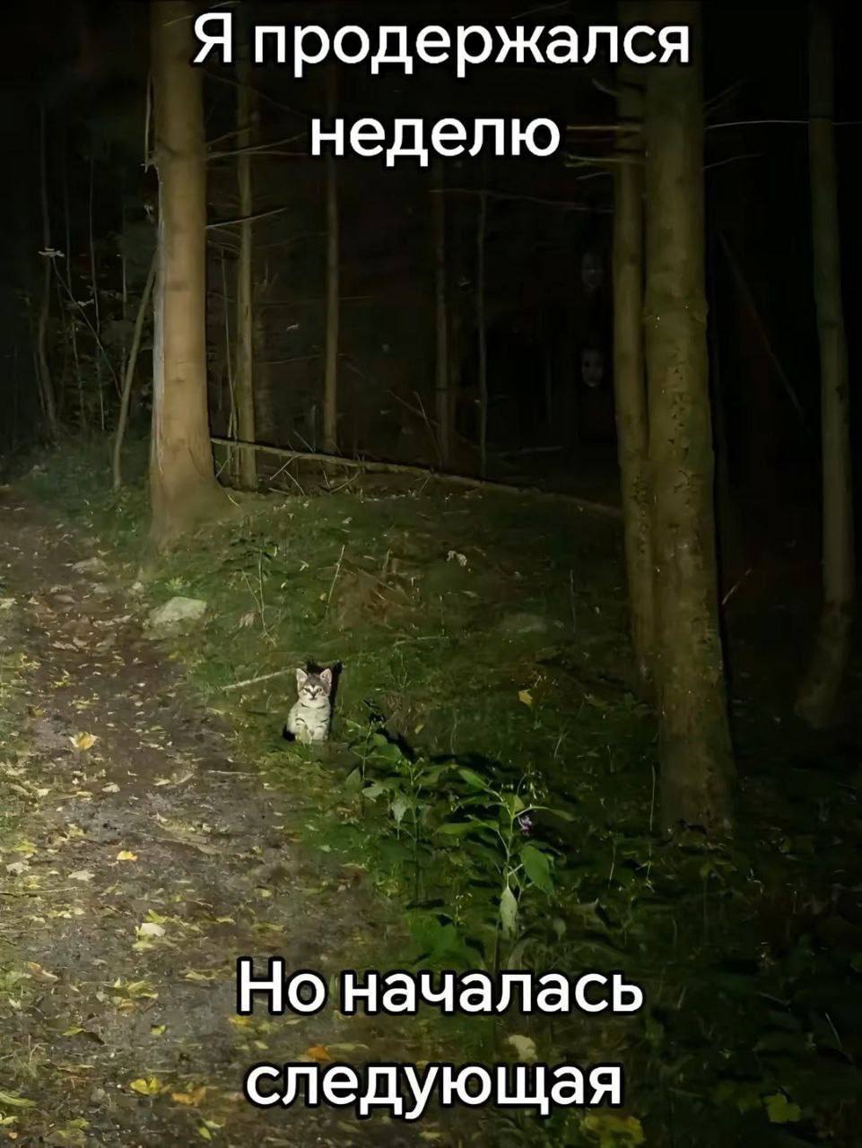 Я продержался неделю Но началась следующая