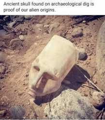 Ancient skull found on archaeological dig is proof of our allen origins.
