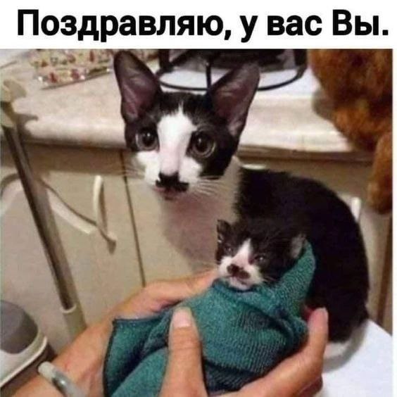 Поздравляю, у вас Вы