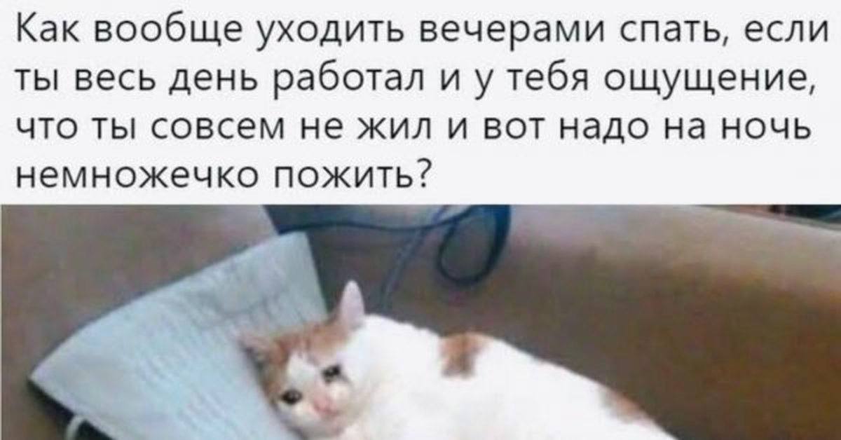 Как вообще уходить вечерами спать, если ты весь день работал и у тебя ощущение, что ты совсем не жил и вот надо на ночь немножечко пожить?