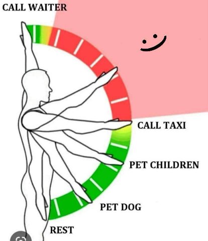 CALL WAITER CALL TAXI PET CHILDREN PET DOG REST