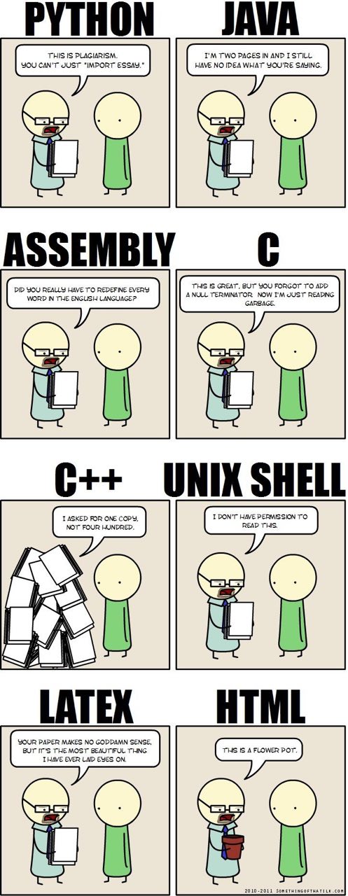 When programmer is asked to write an essay.
