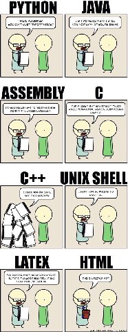 When programmer is asked to write an essay.