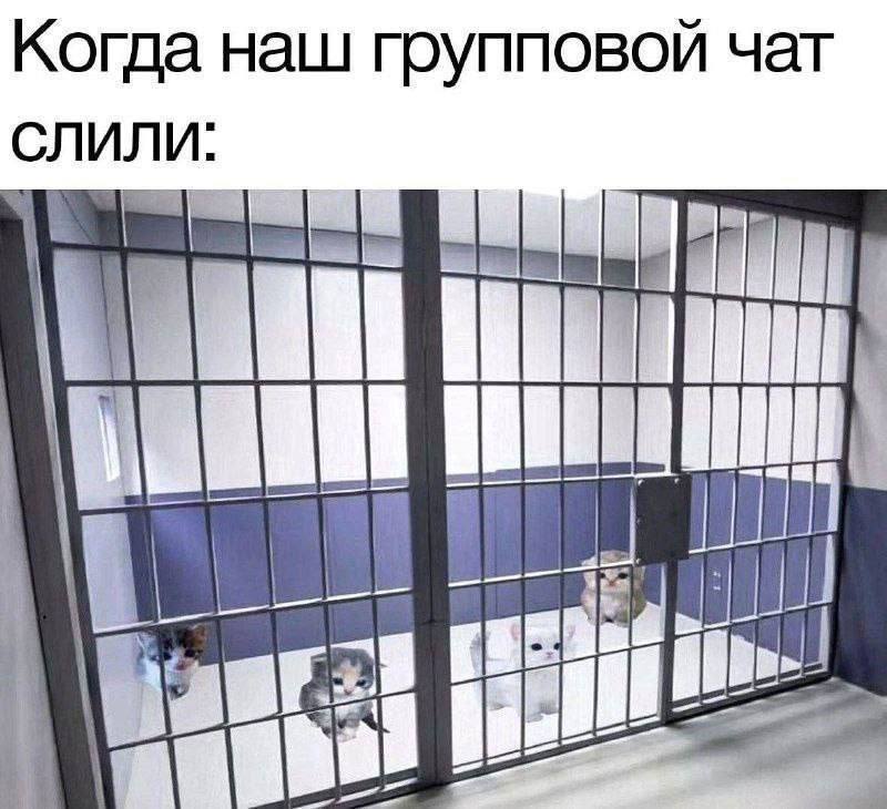 Когда наш групповой чат СЛИЛИ: a