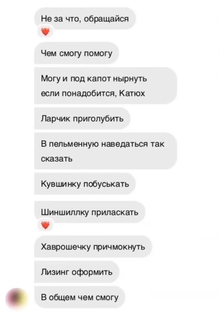 Не за что, обращайся Чем смогу помогу Могу и под капот нырнуть если понадобится, Катюх Ларчик приголубить В пельменную наведаться так сказать Кувшинку побуськать Шиншиллку приласкать Хаврошечку причмо