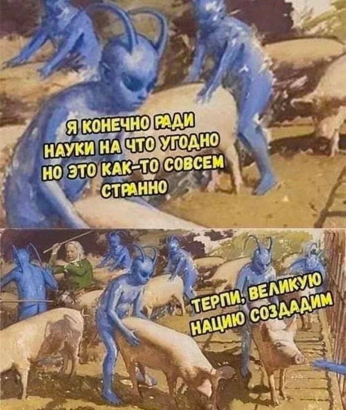 a Я РАДИ НАУКИ нА ЧТОУГОДНО но это КАК-ТО (СОВСЕМ СТРАННО, Aye A AWM 1