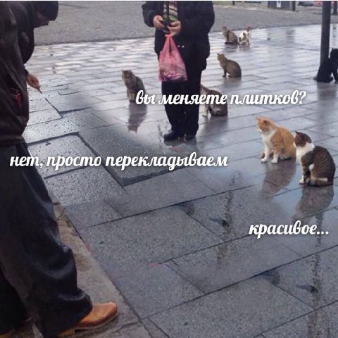 Gut меняете нет, просто перекладываем красифое...