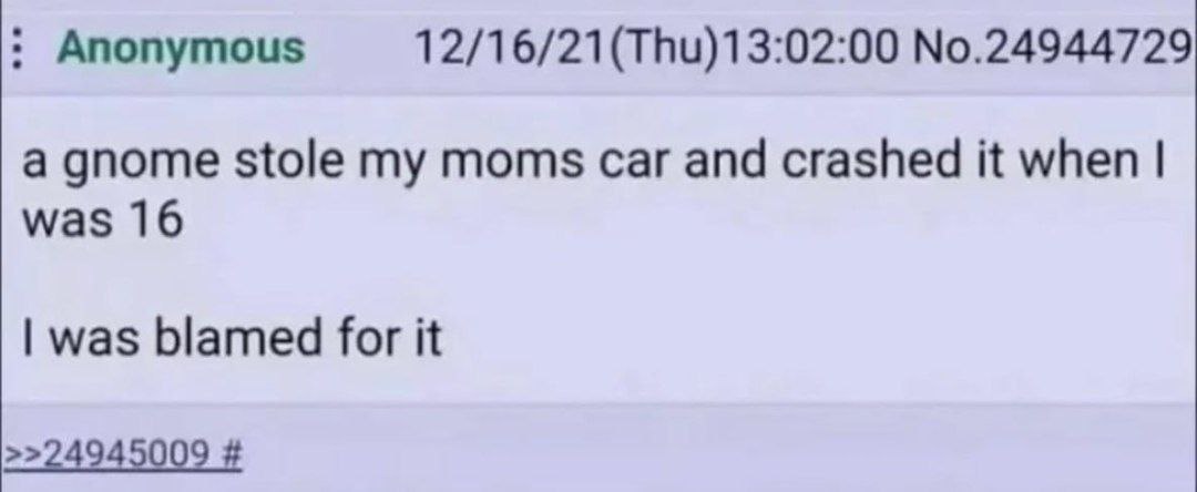 Anonymous 12/16/21(Thu)13:02:00 No.24944729 a gnome stole my moms car and crashed it when was 16 was blamed for it >>24945009