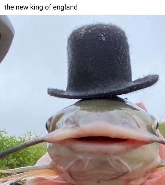 the new king of england