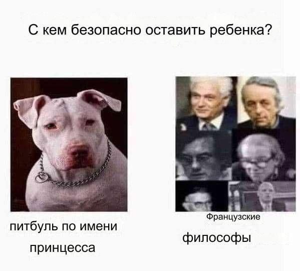 С кем безопасно оставить ребенка? a Французские питбуль по имени философы принцесса