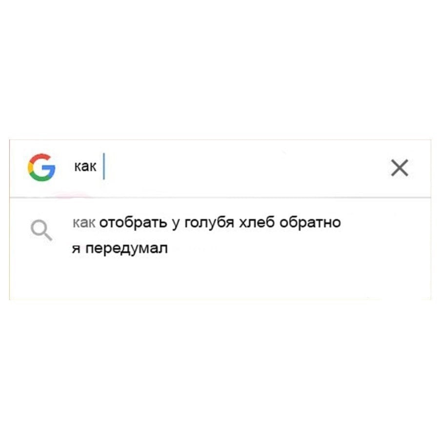 вы Kak как отобрать у голубя хлеб обратно я передумал