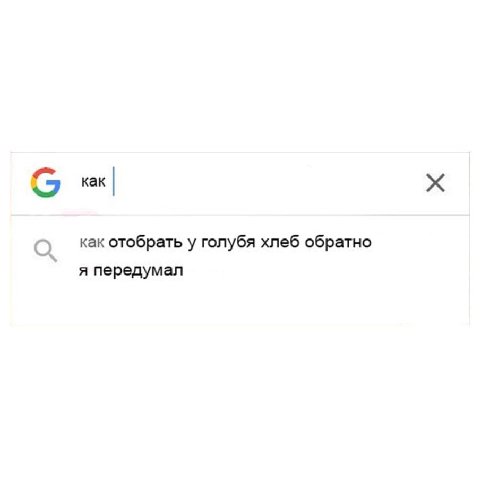 вы Kak как отобрать у голубя хлеб обратно я передумал