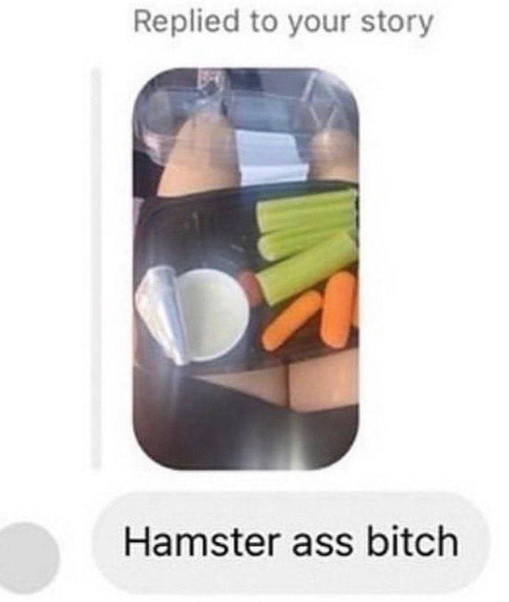 Replied to your story Hamster ass bitch