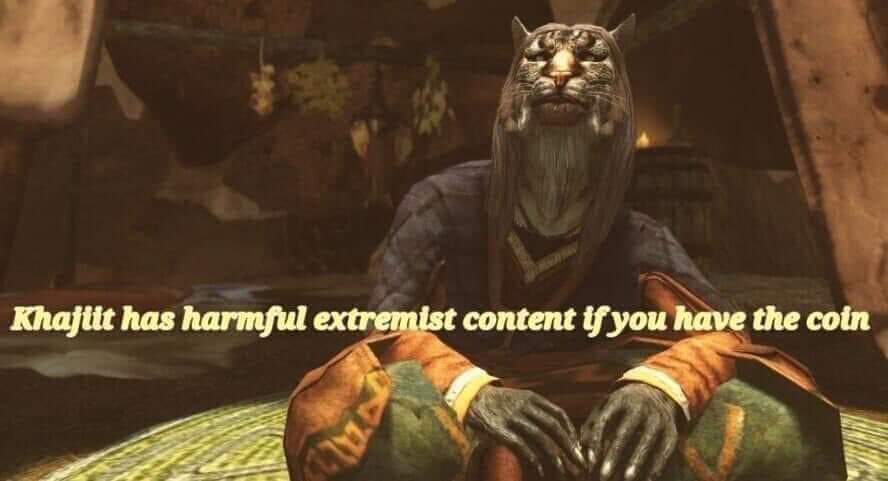 Khajiit has harmful extremist content if you have the coin KEE а
