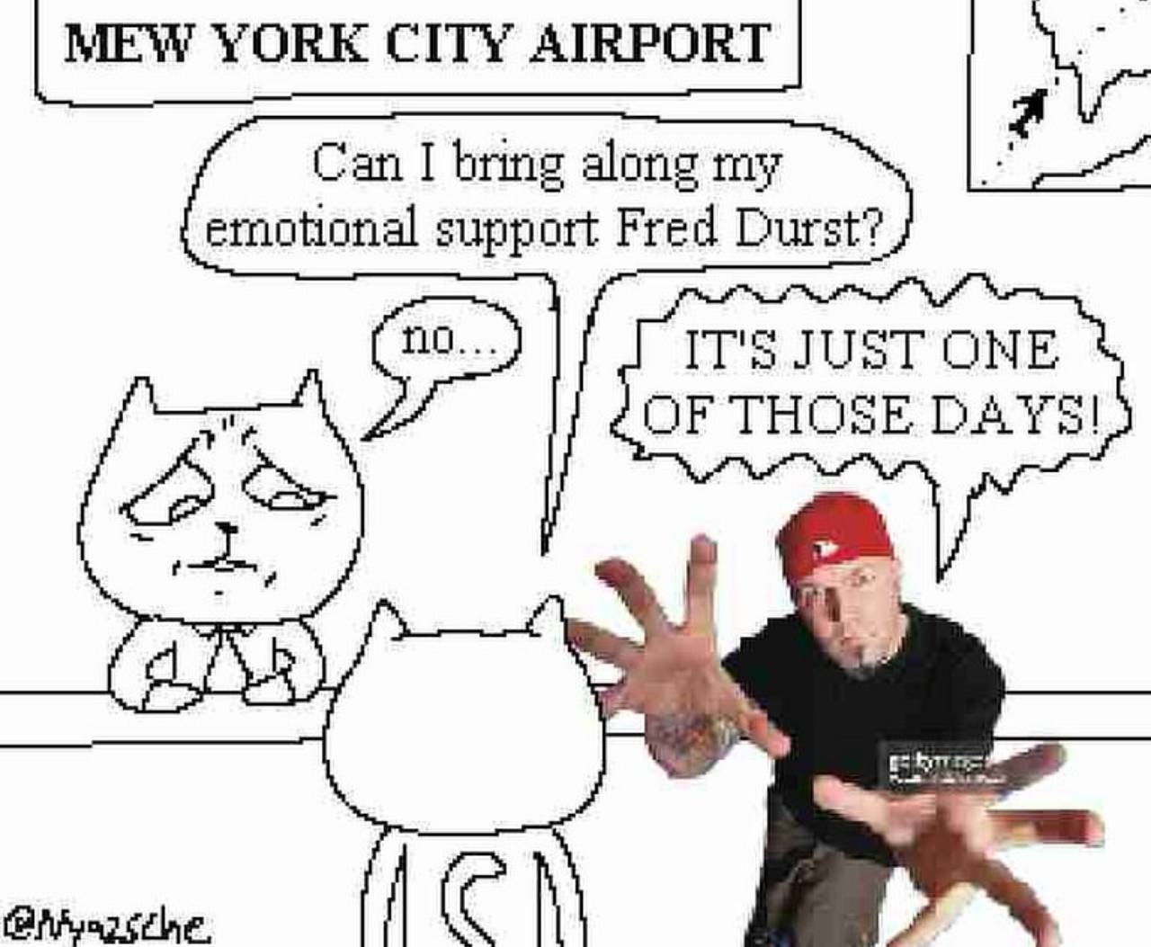 MEW YORE CITY AIRPORT Can I bring along my emotional support Fred Durst? IT's JUST ONE OF THOSE DAYS!