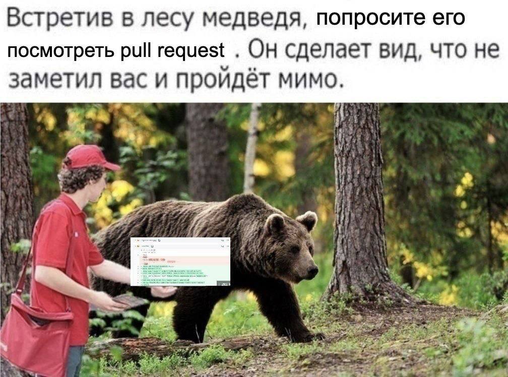 Встретив в лесу медведя, попросите его посмотреть pull request Он сделает вид, что не заметил Bac и проидет мимо. к Wes. 3