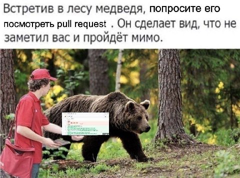 Встретив в лесу медведя, попросите его посмотреть pull request Он сделает вид, что не заметил Bac и проидет мимо. к Wes. 3