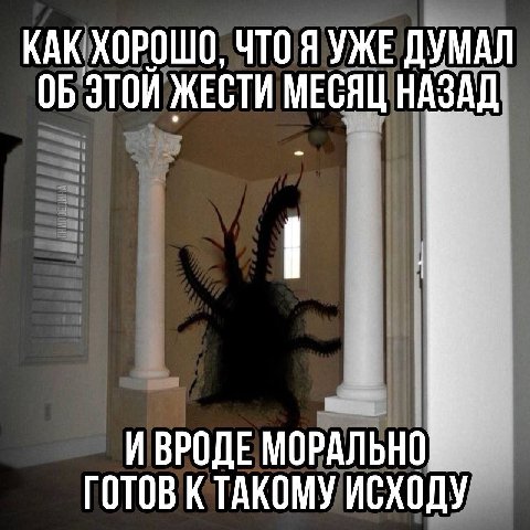 КАК! ХОРОШО, ЧТО Я УЖЕ ДУМАЛ ОБ ЭТОЙ ЖЕСТИ МЕСЯЦ НАЗАД И ВРОДЕ МОРАЛЬНО ГОТОВ К ТАКОМУ ИСХОДУ”
