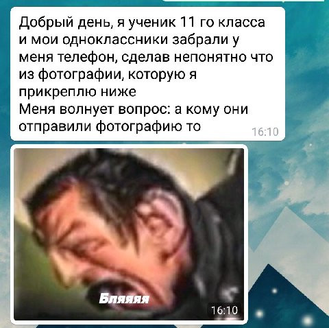 Лучше этой картинки могут быть только последовавшие за ней сообщения