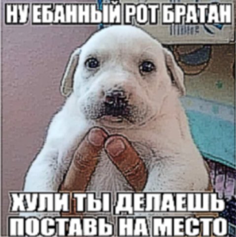НУЕБАННЫЙ РОТ БРАТАН ХУЛИ ТЫ! ДЕЛАЕШЬ ПОСТАВЬ НА МЕСТО