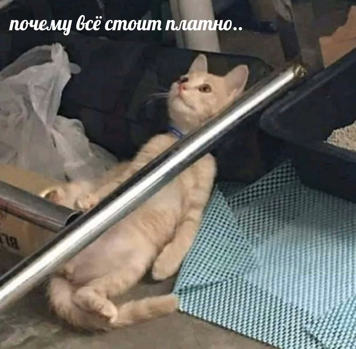 почему стоит платно 33