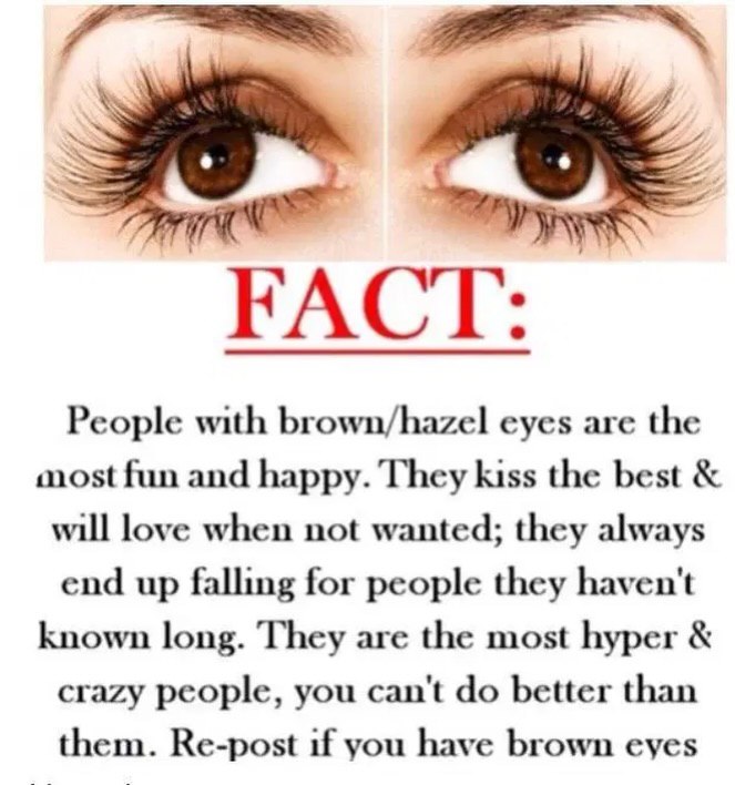 FACT: People with brown/hazel eyes are the most fun and happy. They kiss the best will love when not wanted; they always end up falling for people they haven't known long. They are the most hyper craz