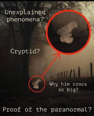 Unexplained phenomena? Cryptid? Why him crocs SO big? Proof of the paranormal
