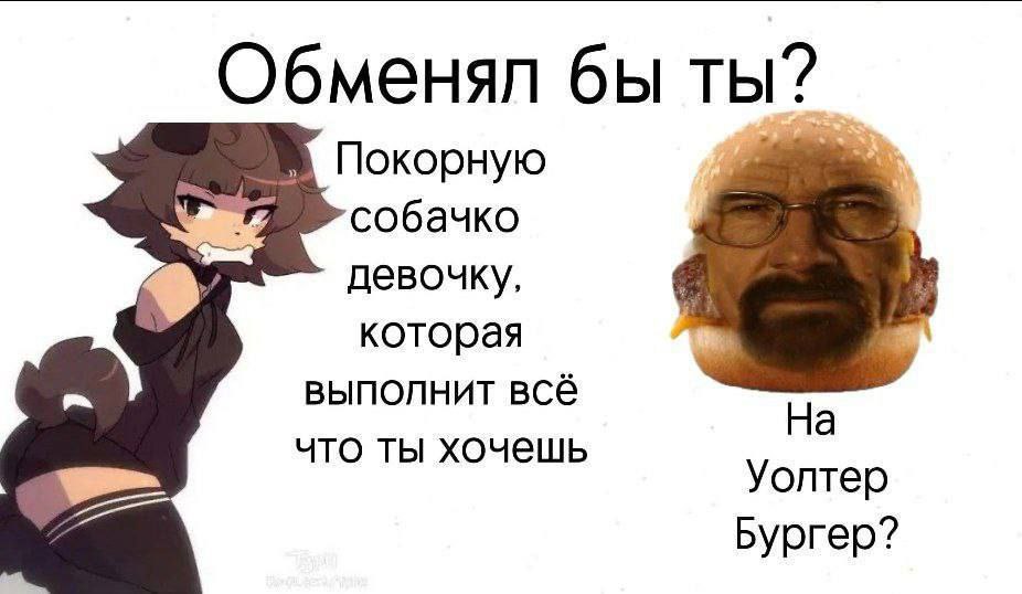 Обменял бы ты? Покорную собачко девочку которая выполнит все что ты хочешь На Уолтер byprep?