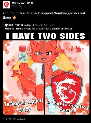 MSI Gaming USA shout out to all the tech support/femboy gamers out there DISEB1001 MEME!!! TBH this is more like a fusion than a contrast of sides lol. НАШЕ TWO SIDES 3