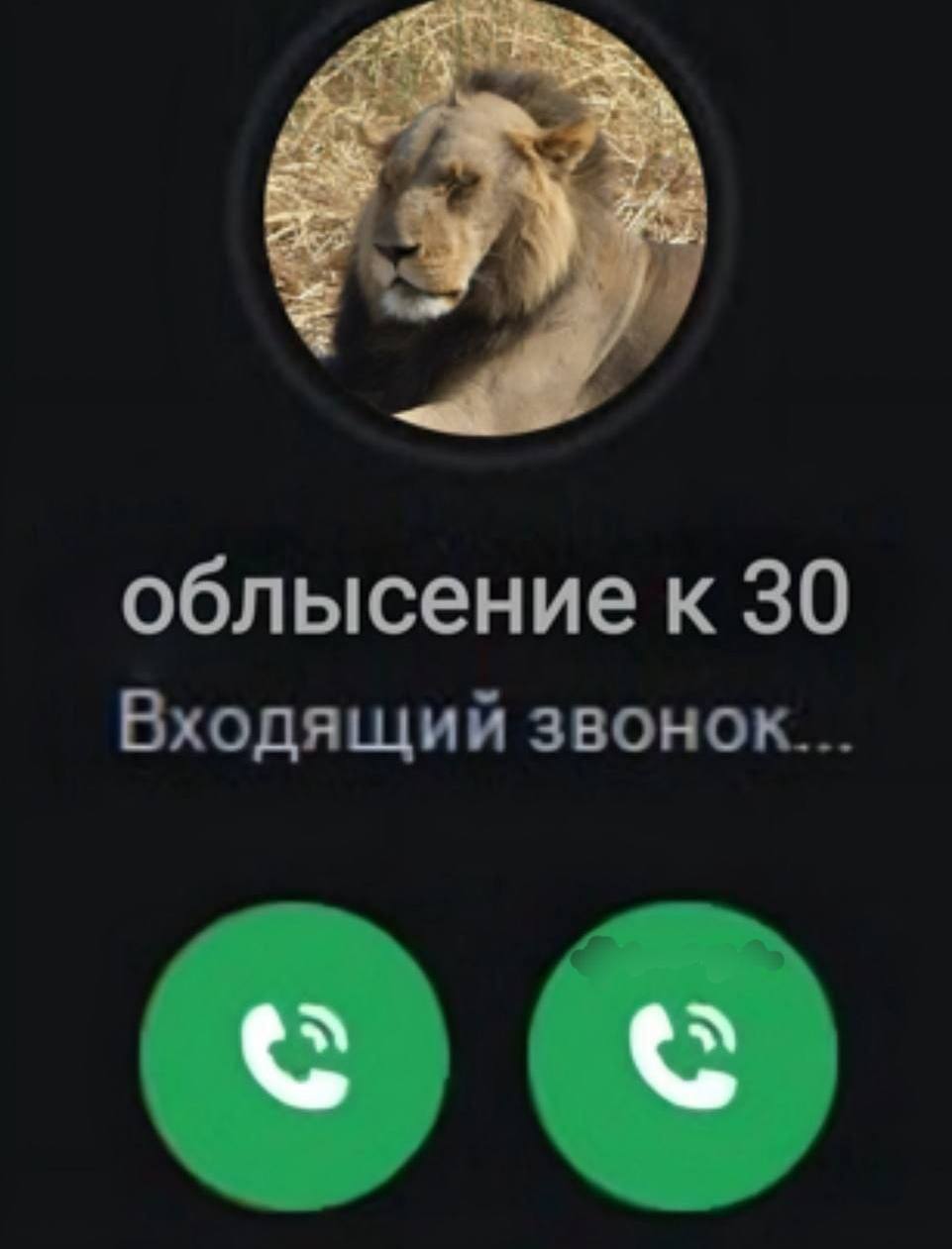 облысение к 30 Входящий звонок...