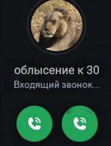 облысение к 30 Входящий звонок...