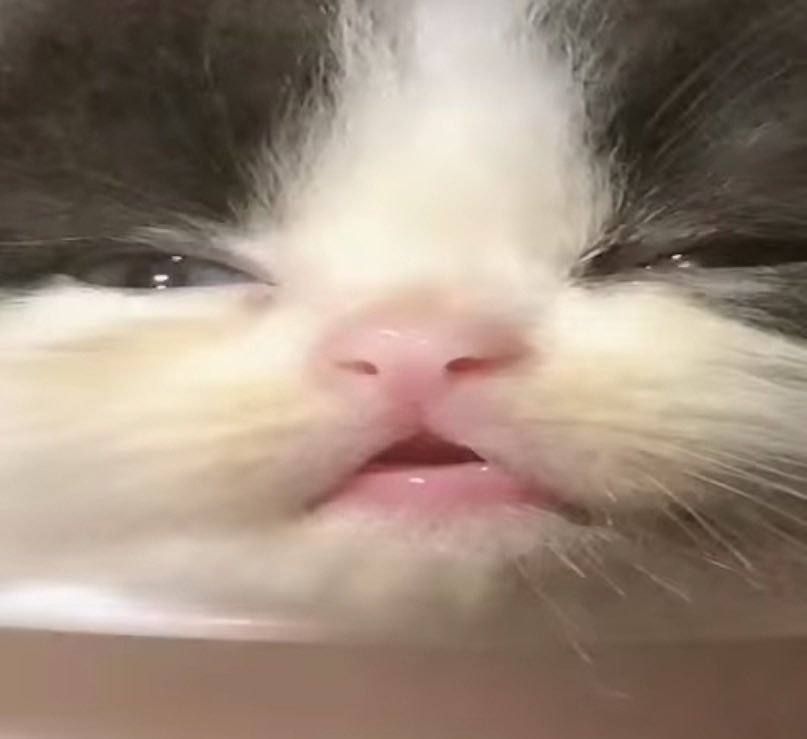 „А р _—