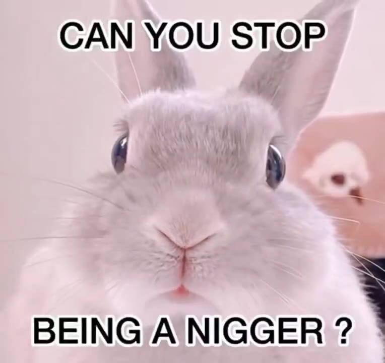 BEING А NIGGER x
