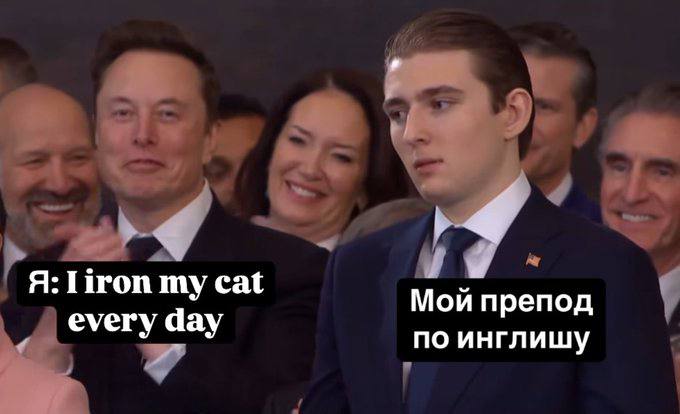 my cat Мой препод every day по инглишу
