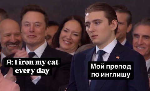 my cat Мой препод every day по инглишу