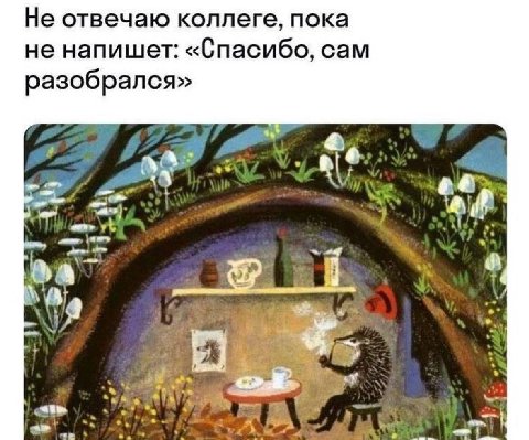 Не отвечаю коллеге, пока не напишет: «Спасибо, сам разобрался»