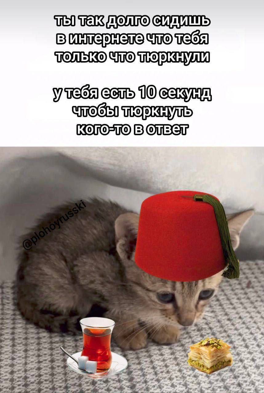 👤 emopurring