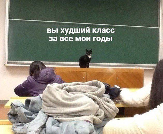 вы худший класс за все мои годы